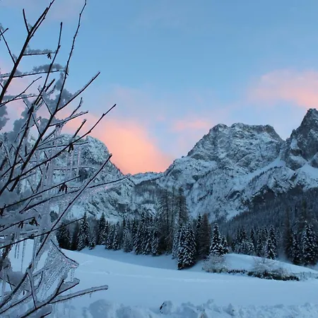 Daina Hame Alojamento de Acomodação e Pequeno-almoço 3*
