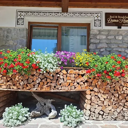 Bed & Breakfast Daina Hame 3*